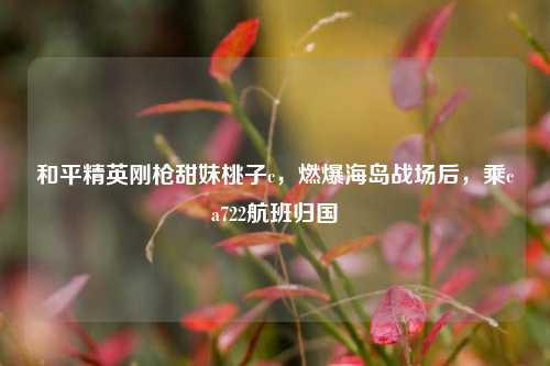 和平精英刚枪甜妹桃子c，燃爆海岛战场后，乘ca722航班归国