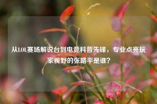 从LOL赛场解说台到电竞科普先锋,专业点亮玩家视野的张路平是谁?