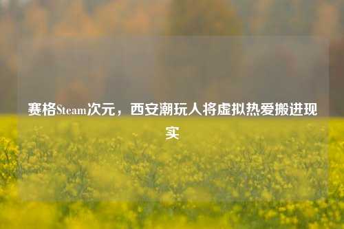 赛格Steam次元，西安潮玩人将虚拟热爱搬进现实