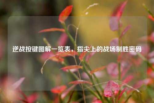 逆战按键图解一览表，指尖上的战场制胜密码