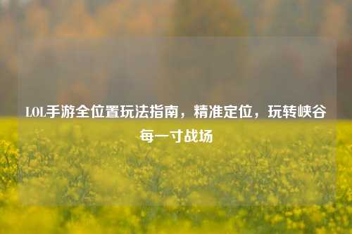 LOL手游全位置玩法指南，精准定位，玩转峡谷每一寸战场