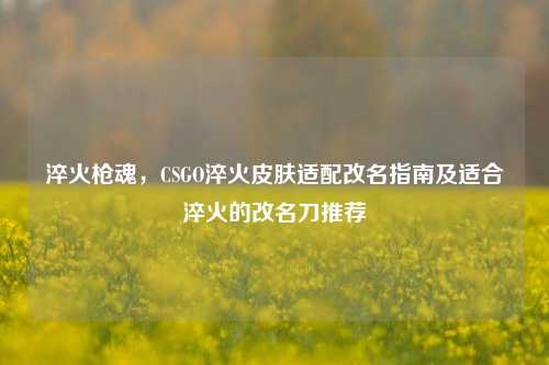 淬火枪魂,CSGO淬火皮肤适配改名指南及适合淬火的改名刀推荐