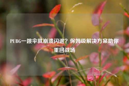 PUBG一跳伞就崩溃闪退?保姆级解决方案助你重回战场