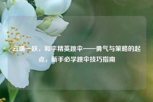 云端一跃，和平精英跳伞——勇气与策略的起点，新手必学跳伞技巧指南