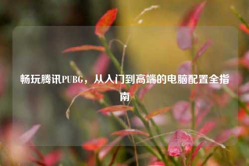 畅玩腾讯PUBG,从入门到高端的电脑配置全指南