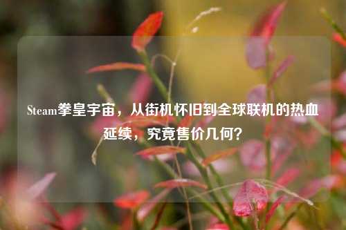 Steam拳皇宇宙,从街机怀旧到全球联机的热血延续,究竟售价几何?