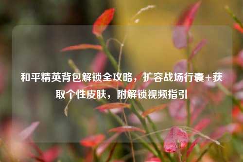 和平精英背包解锁全攻略,扩容战场行囊+获取个性皮肤,附解锁视频指引