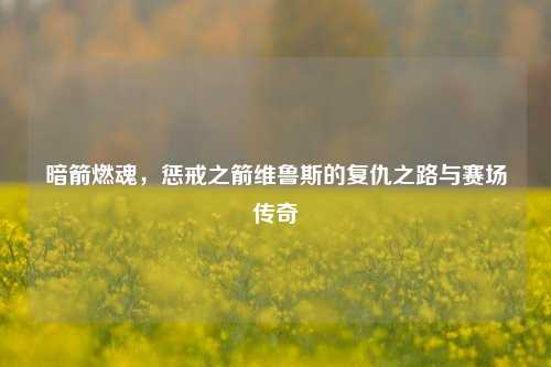 暗箭燃魂,惩戒之箭维鲁斯的复仇之路与赛场传奇