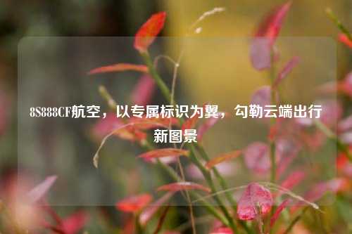8S888CF航空,以专属标识为翼,勾勒云端出行新图景