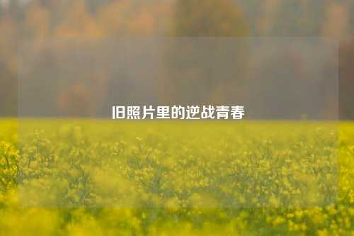 旧照片里的逆战青春