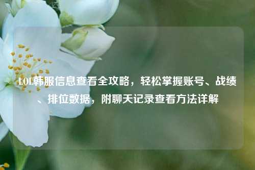 LOL韩服信息查看全攻略,轻松掌握账号、战绩、排位数据,附聊天记录查看方法详解