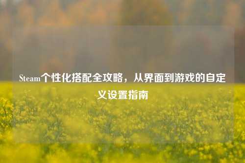 Steam个性化搭配全攻略，从界面到游戏的自定义设置指南
