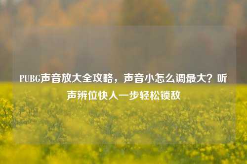 PUBG声音放大全攻略，声音小怎么调最大？听声辨位快人一步轻松锁敌