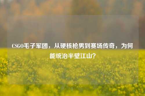 CSGO毛子军团，从硬核枪男到赛场传奇，为何能统治半壁江山？
