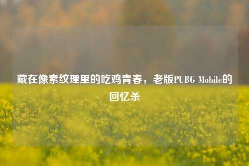藏在像素纹理里的吃鸡青春，老版PUBG Mobile的回忆杀