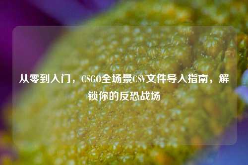 从零到入门,CSGO全场景CSV文件导入指南,解锁你的反恐战场