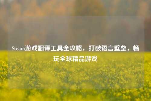 Steam游戏翻译工具全攻略，打破语言壁垒，畅玩全球精品游戏