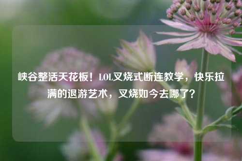 峡谷整活天花板！LOL叉烧式断连教学，快乐拉满的退游艺术，叉烧如今去哪了？