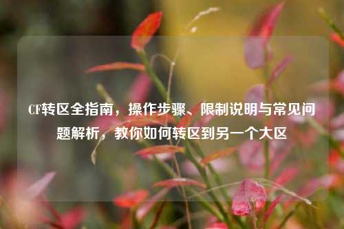 CF转区全指南,操作步骤、限制说明与常见问题解析,教你如何转区到另一个大区