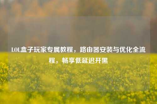 LOL盒子玩家专属教程，路由器安装与优化全流程，畅享低延迟开黑