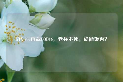 GTX 950再战COD16，老兵不死，尚能饭否？