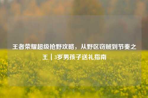 王者荣耀超级抢野攻略，从野区窃贼到节奏之王｜3岁男孩子送礼指南
