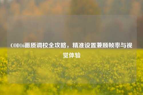 COD16画质调校全攻略，精准设置兼顾帧率与视觉体验
