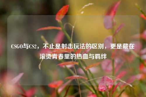 CSGO与CS2，不止是射击玩法的区别，更是藏在滚烫青春里的热血与羁绊
