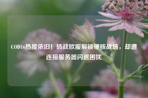 COD16热度依旧!转战欧服解锁硬核战场,却遭连接服务器闪退困扰