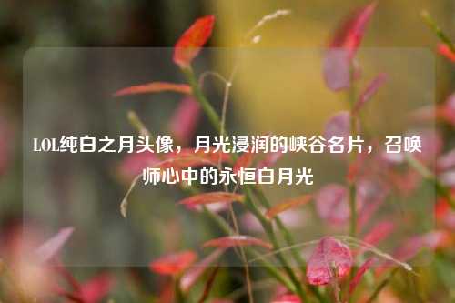 LOL纯白之月头像,月光浸润的峡谷名片,召唤师心中的永恒白月光
