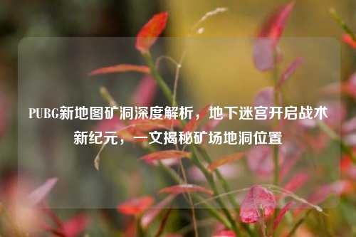 PUBG新地图矿洞深度解析,地下迷宫开启战术新纪元,一文揭秘矿场地洞位置