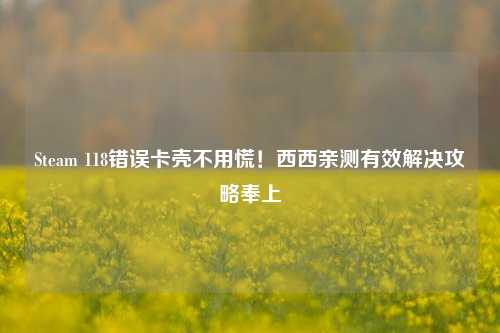 Steam 118错误卡壳不用慌!西西亲测有效解决攻略奉上