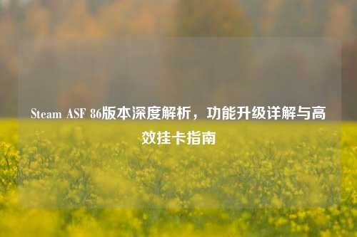 Steam ASF 86版本深度解析,功能升级详解与高效挂卡指南