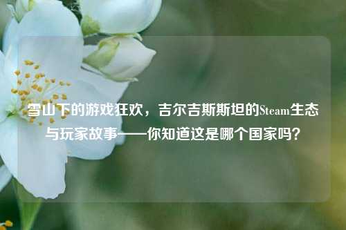 雪山下的游戏狂欢,吉尔吉斯斯坦的Steam生态与玩家故事——你知道这是哪个国家吗?