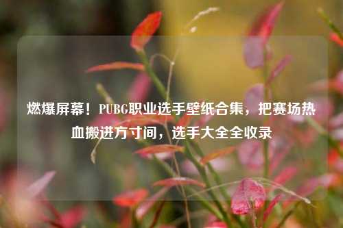 燃爆屏幕！PUBG职业选手壁纸合集，把赛场热血搬进方寸间，选手大全全收录