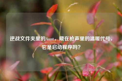逆战文件夹里的Aunt,藏在枪声里的温暖代号,它是启动程序吗?