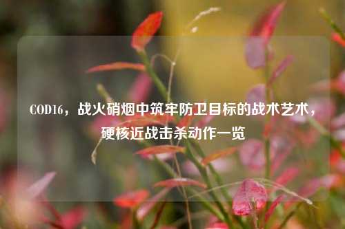 COD16，战火硝烟中筑牢防卫目标的战术艺术，硬核近战击杀动作一览
