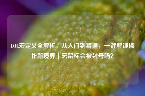 LOL宏定义全解析,从入门到精通,一键解锁操作新境界|宏鼠标会被封号吗?