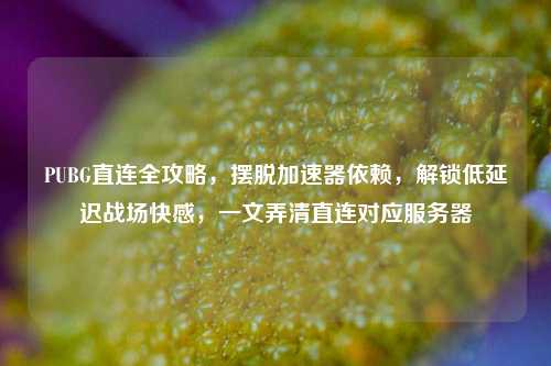 PUBG直连全攻略，摆脱加速器依赖，解锁低延迟战场快感，一文弄清直连对应服务器