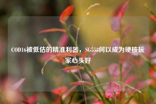 COD16被低估的精准利器，SG553何以成为硬核玩家心头好