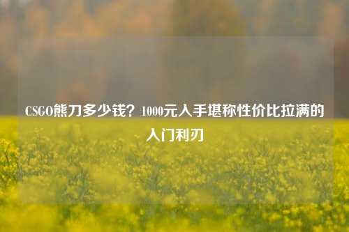 CSGO熊刀多少钱？1000元入手堪称性价比拉满的入门利刃