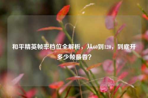 和平精英帧率档位全解析，从60到120，到底开多少帧最香？