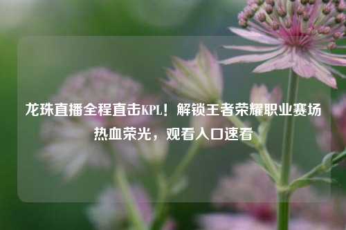 龙珠直播全程直击KPL!解锁王者荣耀职业赛场热血荣光,观看入口速看