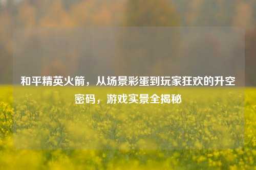 和平精英火箭,从场景彩蛋到玩家狂欢的升空密码,游戏实景全揭秘