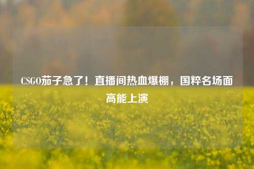 CSGO茄子急了!直播间热血爆棚,国粹名场面高能上演