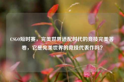 CSGO短时赛，完美世界适配时代的竞技完美答卷，它是完美世界的竞技代表作吗？