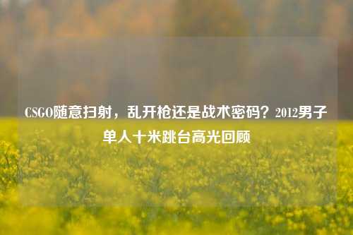 CSGO随意扫射，乱开枪还是战术密码？2012男子单人十米跳台高光回顾