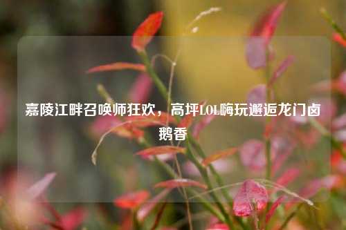 嘉陵江畔召唤师狂欢，高坪LOL嗨玩邂逅龙门卤鹅香