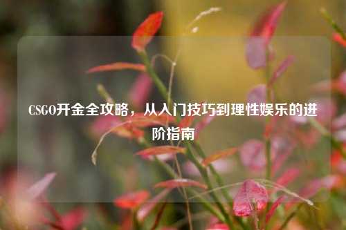 CSGO开金全攻略,从入门技巧到理性娱乐的进阶指南