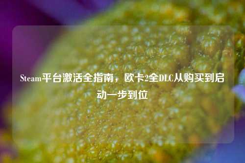 Steam平台激活全指南,欧卡2全DLC从购买到启动一步到位
